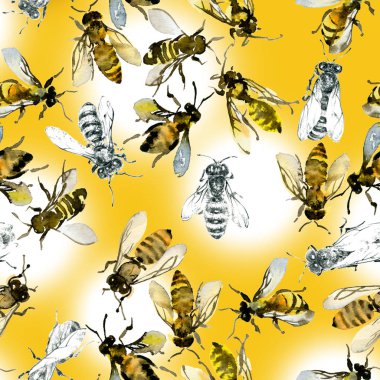 Tatlım, yaz, ülke, vahşi arılar. Suluboya. İllüstrasyon