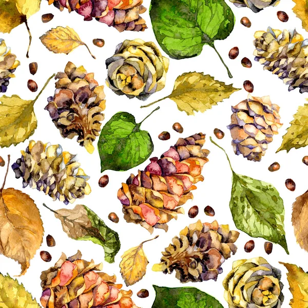 Luc fenyő, erdei fenyő, cédrus kúp az őszi erdő, az elszáradt levelek. Akvarell. Illusztráció — Stock Fotó