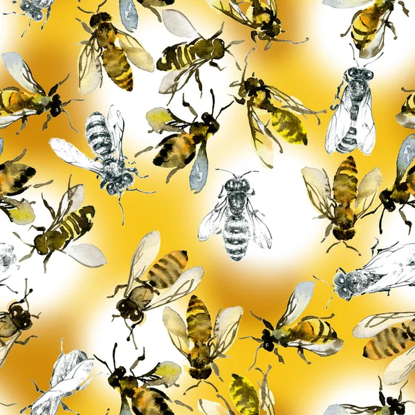 蜂蜜、夏、国、野生のミツバチです。水彩画。図 — ストック写真