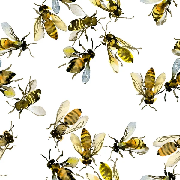 Honey, summer, country, wild bees. Watercolor. Illustration — Stock Photo, Image