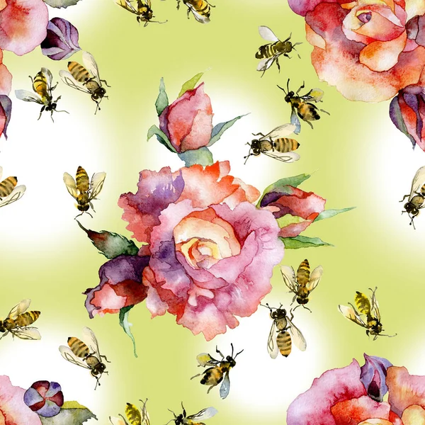 Piękne, czerwone, dekoracyjne, ogrodowe kwiaty róże i miód, lato, rustykalne, dzikie, owady pszczoły. Akwarela. Ilustracji — Zdjęcie stockowe