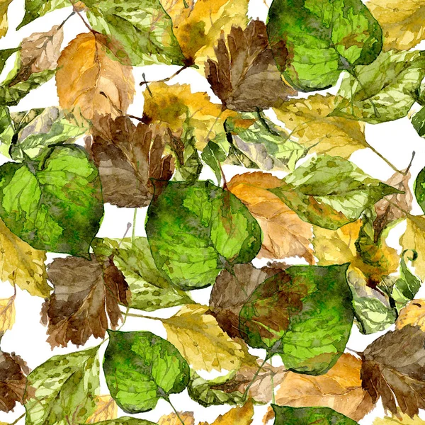 Φύλλα του φθινοπώρου, μαραμένα, κίτρινο, λυπημένος. Ακουαρέλα. Εικονογράφηση — Φωτογραφία Αρχείου
