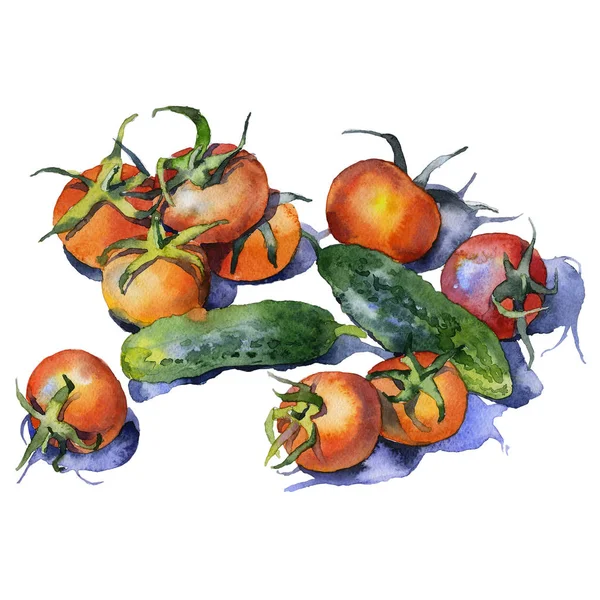 Taze sebze ile natürmort. Gevrek salatalık ve olgun domates. Suluboya. İllüstrasyon — Stok fotoğraf