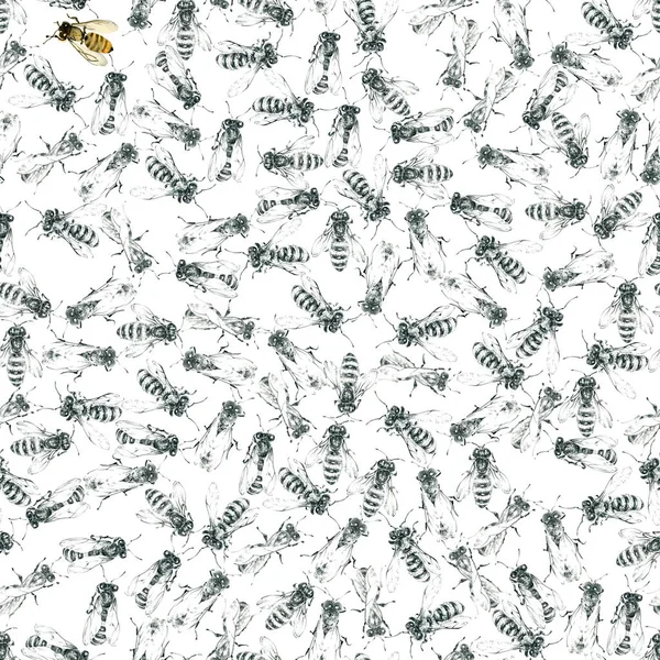 Un alveare di api mellifere. Molti insetti utili. Acquerello. Arti grafiche. Illustrazione — Foto Stock