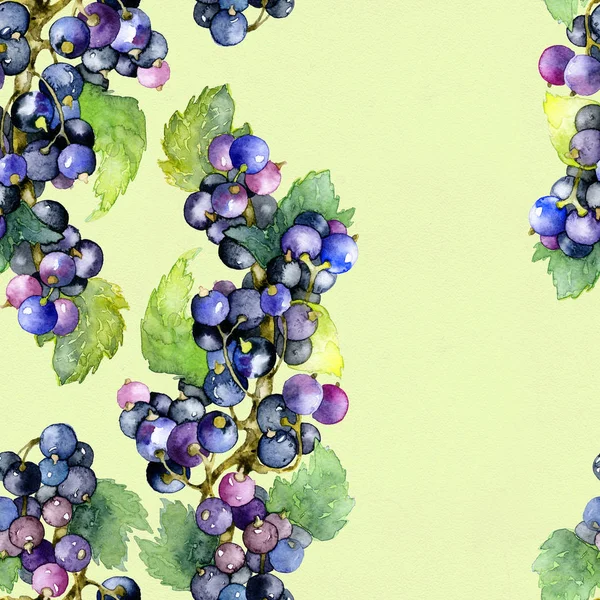 Ripe, tasty, aromatic, summer, black, garden currant. Watercolor. Illustration — Stock Photo, Image
