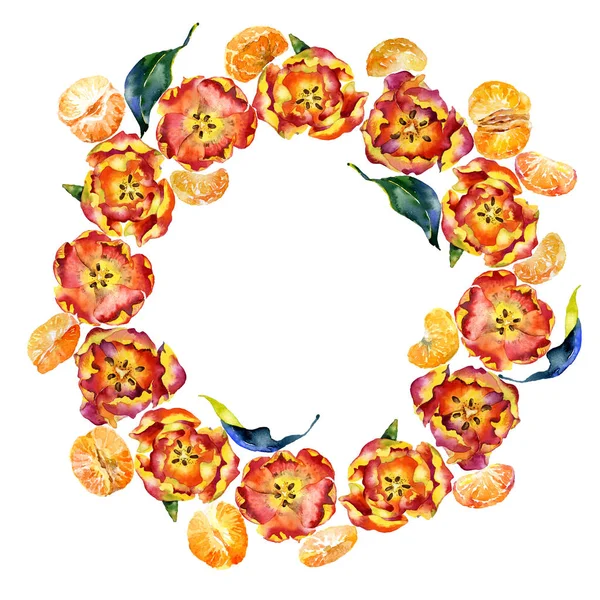 Blumen, Blumen, Frühlingskranz aus Tulpen und südlichen Mandarinen. Aquarell. Illustration — Stockfoto