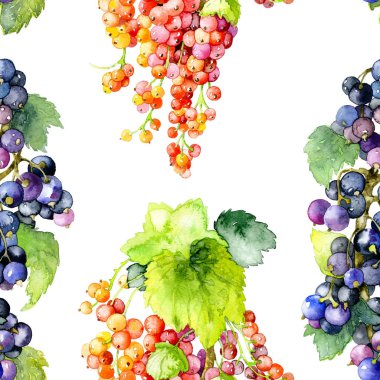 Olgun, lezzetli, aromatik, yaz, siyah, kırmızı Bahçe kuş üzümü. Suluboya. İllüstrasyon