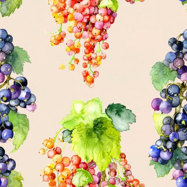 Olgun, lezzetli, aromatik, yaz, siyah, kırmızı Bahçe kuş üzümü. Suluboya. İllüstrasyon