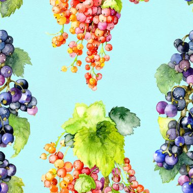 Olgun, lezzetli, aromatik, yaz, siyah, kırmızı Bahçe kuş üzümü. Suluboya. İllüstrasyon