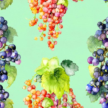 Olgun, lezzetli, aromatik, yaz, siyah, kırmızı Bahçe kuş üzümü. Suluboya. İllüstrasyon