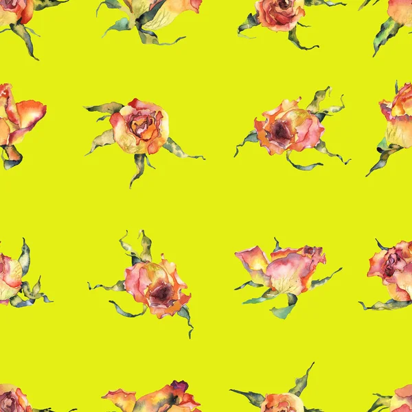 Rot, rosa, schön, Frühling, Sommer, saftige Rosen. Blumenwiese. Aquarell. Illustration — Stockfoto