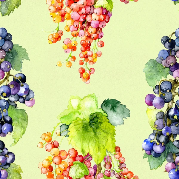 Ripe, tasty, aromatic, summer, black, Red garden currant. Watercolor. Illustration — Stock Photo, Image