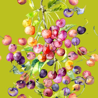 Ripe, tasty, red, garden, sweet bunch of cherries. Watercolor. Illustration clipart