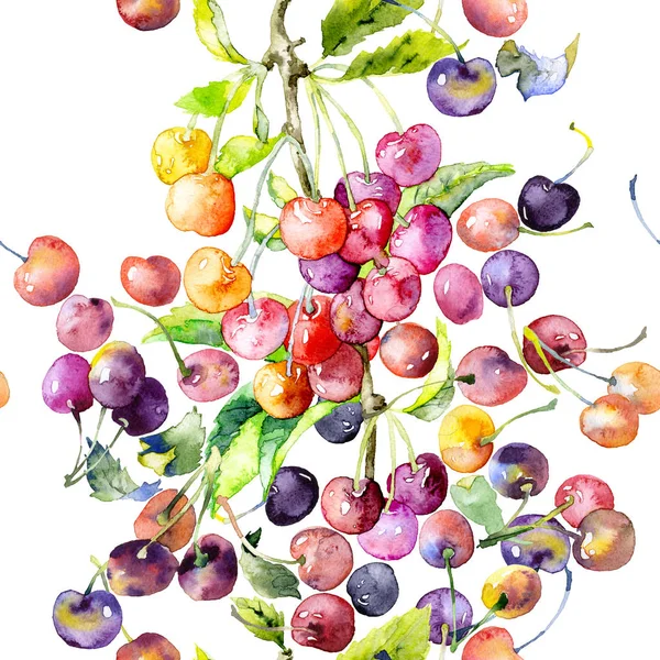 Maduro, saboroso, vermelho, jardim, doce cacho de cerejas. Aquarela. Ilustração — Fotografia de Stock