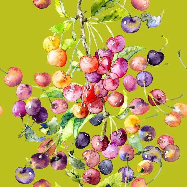 Maduro, saboroso, vermelho, jardim, doce cacho de cerejas. Aquarela. Ilustração — Fotografia de Stock
