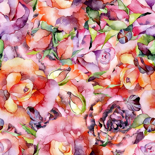 Rouge, rose, belle, printemps, été, roses succulentes. Une prairie de fleurs. Aquarelle. Illustration — Photo