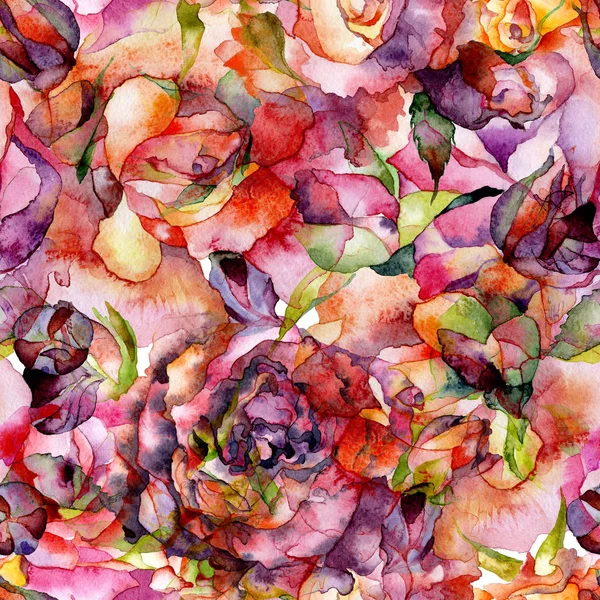 Rouge, rose, belle, printemps, été, roses succulentes. Une prairie de fleurs. Aquarelle. Illustration — Photo