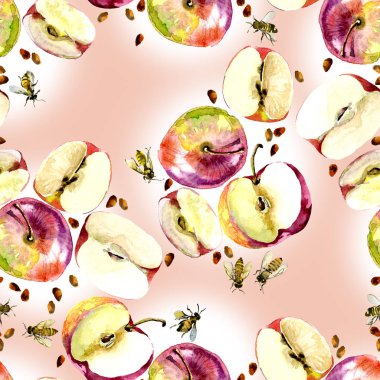 Narin, küçük, güzel kokulu, eski gül, tatlım, rustik, vahşi arılar, Güney, lezzetli, güzel kokulu elma. Suluboya. illüstrasyon