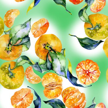 Güney, lezzetli, aromatik, fitrant mandalina ve bal, rustik, vahşi arılar suluboya. illüstrasyon