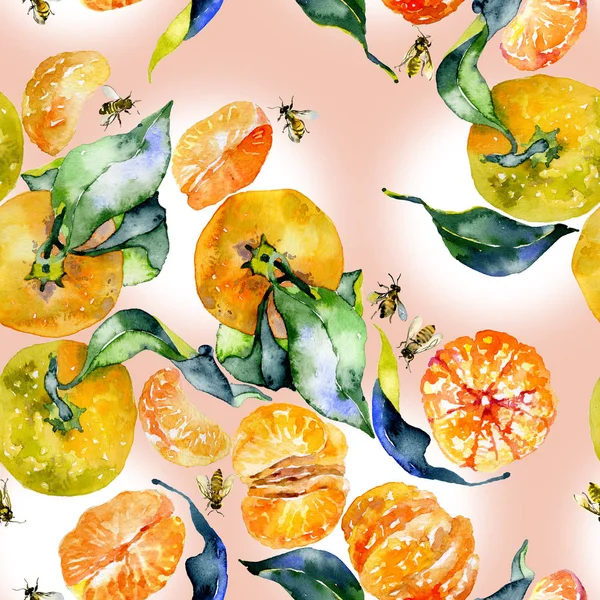 Jižní, chutné, aromatické, fitrant mandarinky a medu, rustikální, divoké včely akvarel. ilustrace — Stock fotografie