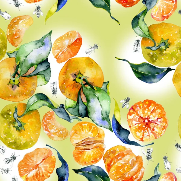 Jižní, chutné, aromatické, fitrant mandarinky a medu, rustikální, divoké včely akvarel. ilustrace — Stock fotografie