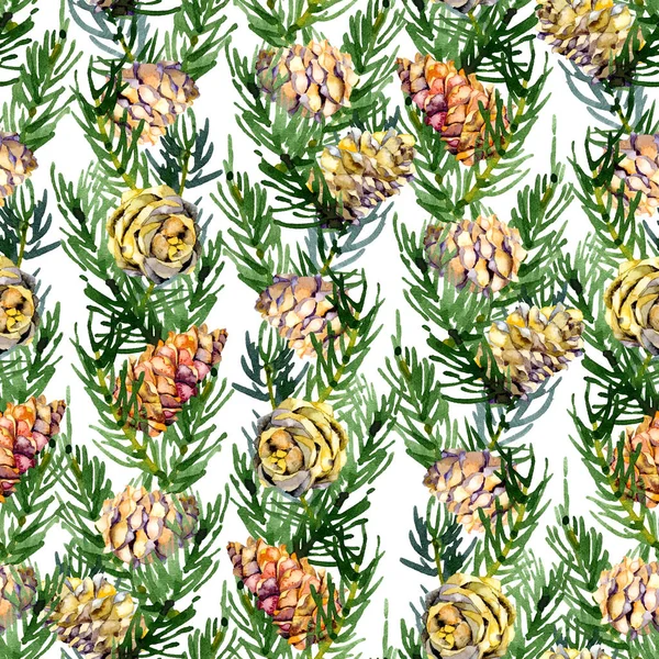 Coniferous, pine, spruce, vegetative, forest, festive, New Year's background. Watercolor. Illustration — Stock Photo, Image