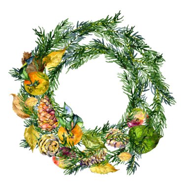 Şenlikli, yeni yıl, köknar çelengi. Noel, aile, kış çelengi. Kozalaklı, köknar, çam, koni ve tohum. Sonbahar, çürümüş, düşmüş yapraklar. Suluboya. Illüstrasyon