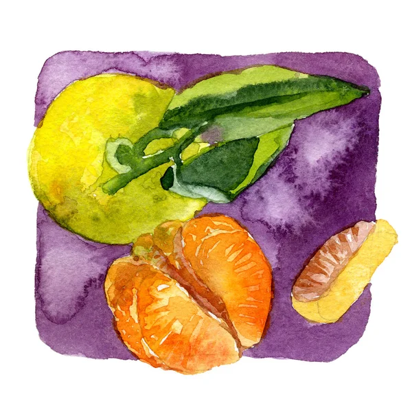 成熟、 多汁、 南部、 美味、 橙、 柑橘普通话与一片叶子。水彩画。插图 — 图库照片