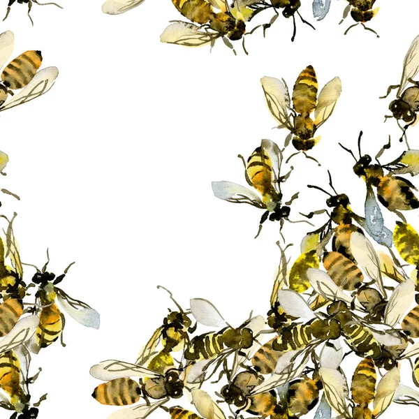 Med, léto, země, divoké včely. Akvarelem. Ilustrace — Stock fotografie