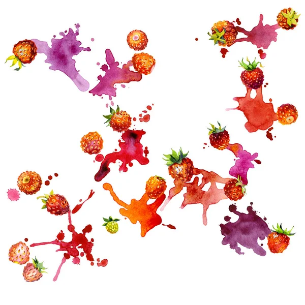 Röd, trädgård, mogna, välsmakande, väldoftande jordgubbe. Äng, fält, orange bär. Sommar, höst, sommar, vilda växt. Norra vegetation. Ljusa, fuzzy, oformliga fläckar och blots. Akvarell. Illustration — Stockfoto