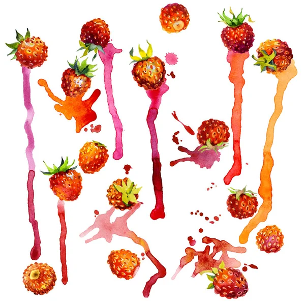 Röd, trädgård, mogna, välsmakande, väldoftande jordgubbe. Äng, fält, orange bär. Sommar, höst, sommar, vilda växt. Norra vegetation. Ljusa, fuzzy, oformliga fläckar och blots. Akvarell. Illustration — Stockfoto
