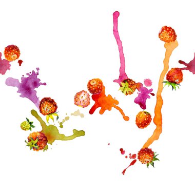 Kırmızı, Bahçe, olgun, lezzetli, güzel kokulu çilek. Çayır, alan, turuncu berry. Yaz, Sonbahar, yaz, yabani bir bitki. Kuzey bitki örtüsü. Parlak, bulanık, şekilsiz noktalar ve lekeleri. Suluboya. İllüstrasyon