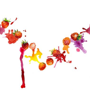 Kırmızı, Bahçe, olgun, lezzetli, güzel kokulu çilek. Çayır, alan, turuncu berry. Yaz, Sonbahar, yaz, yabani bir bitki. Kuzey bitki örtüsü. Parlak, bulanık, şekilsiz noktalar ve lekeleri. Suluboya. İllüstrasyon