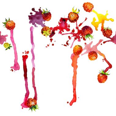 Kırmızı, Bahçe, olgun, lezzetli, güzel kokulu çilek. Çayır, alan, turuncu berry. Yaz, Sonbahar, yaz, yabani bir bitki. Kuzey bitki örtüsü. Parlak, bulanık, şekilsiz noktalar ve lekeleri. Suluboya. İllüstrasyon