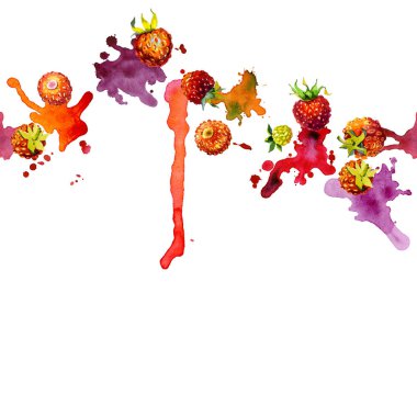 Kırmızı, Bahçe, olgun, lezzetli, güzel kokulu çilek. Çayır, alan, turuncu berry. Yaz, Sonbahar, yaz, yabani bir bitki. Kuzey bitki örtüsü. Parlak, bulanık, şekilsiz noktalar ve lekeleri. Suluboya. İllüstrasyon
