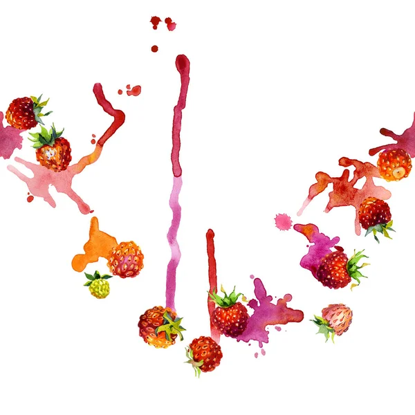 Kırmızı, Bahçe, olgun, lezzetli, güzel kokulu çilek. Çayır, alan, turuncu berry. Yaz, Sonbahar, yaz, yabani bir bitki. Kuzey bitki örtüsü. Parlak, bulanık, şekilsiz noktalar ve lekeleri. Suluboya. İllüstrasyon