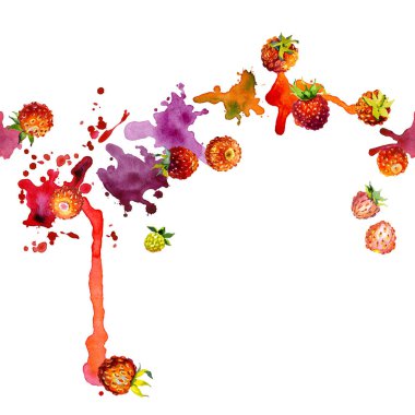 Kırmızı, Bahçe, olgun, lezzetli, güzel kokulu çilek. Çayır, alan, turuncu berry. Yaz, Sonbahar, yaz, yabani bir bitki. Kuzey bitki örtüsü. Parlak, bulanık, şekilsiz noktalar ve lekeleri. Suluboya. İllüstrasyon