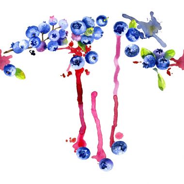 Orman, Kuzey, geç berry. Mavi, siyah, lezzetli blueberry. Olgun, sulu, iştah açıcı yaban mersini. Taze, sağlıklı meyve yuvarlak. Kirli, sulu, eğri çizgiler. Suluboya. İllüstrasyon