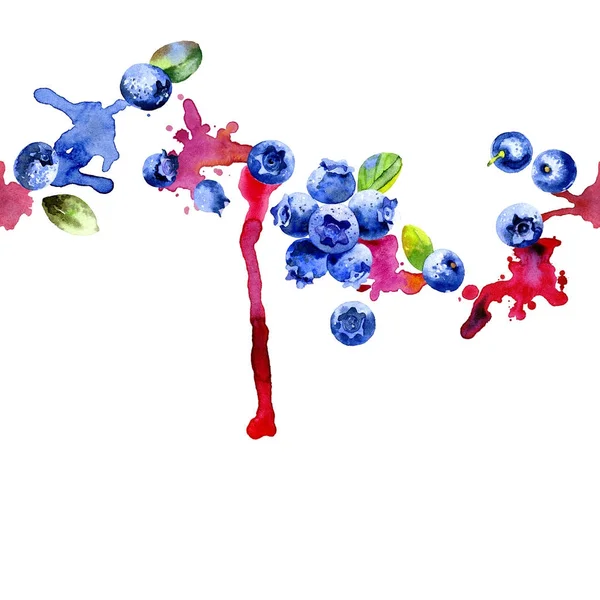 Orman, Kuzey, geç berry. Mavi, siyah, lezzetli blueberry. Olgun, sulu, iştah açıcı yaban mersini. Taze, sağlıklı meyve yuvarlak. Kirli, sulu, eğri çizgiler. Suluboya. İllüstrasyon