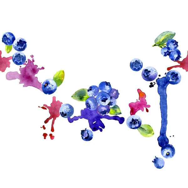 Orman, Kuzey, geç berry. Mavi, siyah, lezzetli blueberry. Olgun, sulu, iştah açıcı yaban mersini. Taze, sağlıklı meyve yuvarlak. Kirli, sulu, eğri çizgiler. Suluboya. İllüstrasyon