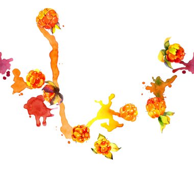 Orman, Sonbahar, turuncu berry. Lezzetli, iştah açıcı, olgun cloudberries. Kuzey, soğuk, sarı meyve. Küçük, yumuşak, nemli tohumları. Kirli, sulu, renkli çizgili. Suluboya. İllüstrasyon