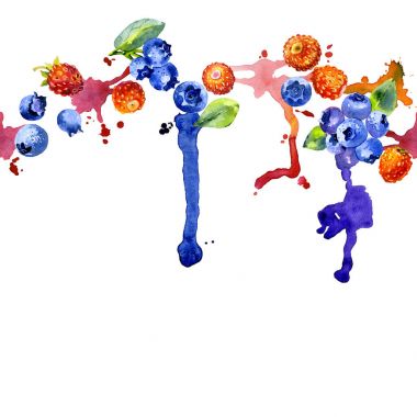 Orman, lezzetli, mavi yaban mersini. Kırmızı, olgun, güzel kokulu çilek. Kuzey, taze, tatlı çilek. Kirli, renkli, sulu çizgili. Suluboya. İllüstrasyon