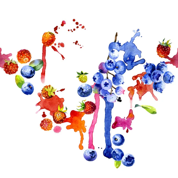 Orman, lezzetli, mavi yaban mersini. Kırmızı, olgun, güzel kokulu çilek. Kuzey, taze, tatlı çilek. Kirli, renkli, sulu çizgili. Suluboya. İllüstrasyon