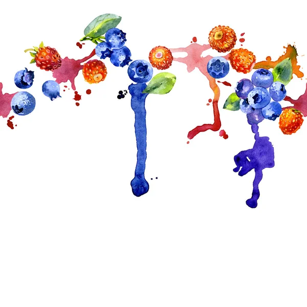 Orman, lezzetli, mavi yaban mersini. Kırmızı, olgun, güzel kokulu çilek. Kuzey, taze, tatlı çilek. Kirli, renkli, sulu çizgili. Suluboya. İllüstrasyon