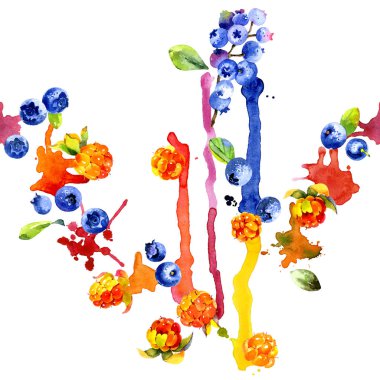 Orman, Kuzey, mavi yaban mersini. Lezzetli, olgun, turuncu cloudberry. İştah açıcı, taze, mavi yaban mersini. Bataklık berry. Kirli, renkli, sulu çizgili. Suluboya. İllüstrasyon