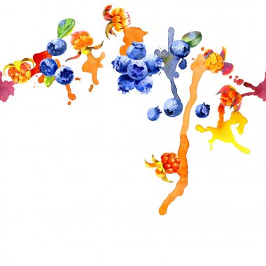 Orman, Kuzey, mavi yaban mersini. Lezzetli, olgun, turuncu cloudberry. İştah açıcı, taze, mavi yaban mersini. Bataklık berry. Kirli, renkli, sulu çizgili. Suluboya. İllüstrasyon