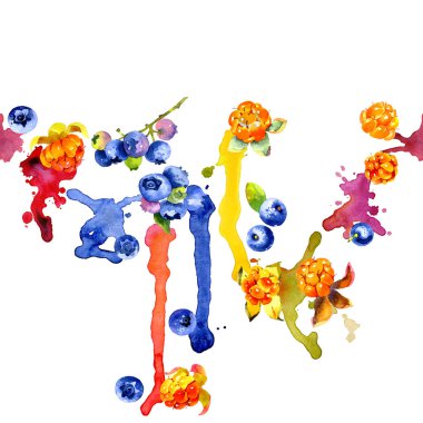 Orman, Kuzey, mavi yaban mersini. Lezzetli, olgun, turuncu cloudberry. İştah açıcı, taze, mavi yaban mersini. Bataklık berry. Kirli, renkli, sulu çizgili. Suluboya. İllüstrasyon