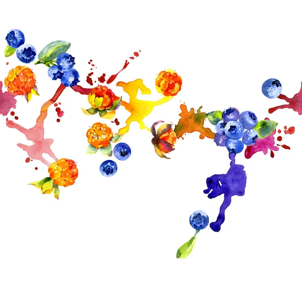 Orman, Kuzey, mavi yaban mersini. Lezzetli, olgun, turuncu cloudberry. İştah açıcı, taze, mavi yaban mersini. Bataklık berry. Kirli, renkli, sulu çizgili. Suluboya. İllüstrasyon