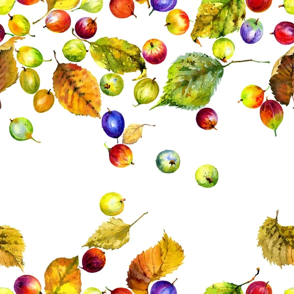 Őszi kert aratás. Rohadt, sárga, lehullott levelek. Érett, finom, ropogós, ínycsiklandozó egres. Hasznos, friss, kerek bogyó. Akvarell. Illusztráció — Stock Fotó