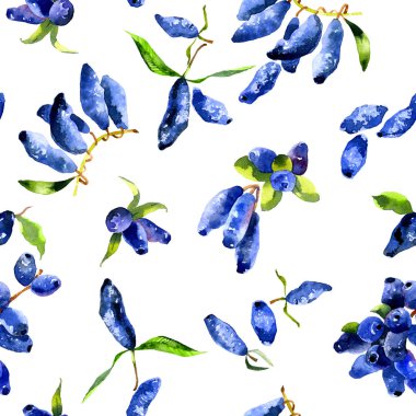 Olgun, lezzetli, yumuşak, taze meyve. Ekşi, tatlı, ekşi, Bahçe Hanımeli. Mavi, siyah, berry avuç çilek. Bahçe, dekoratif, yabani flora. Suluboya. İllüstrasyon